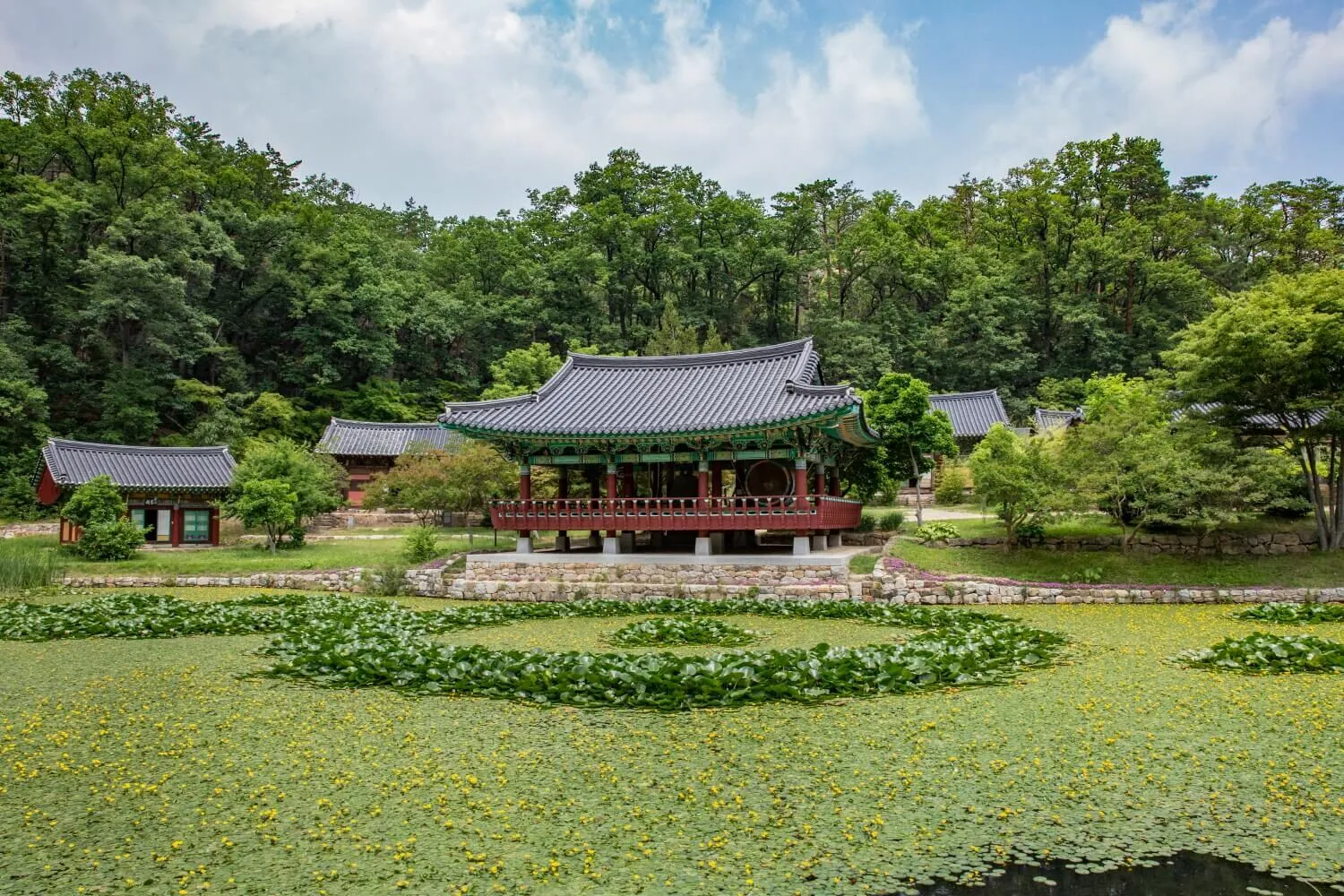 숲길 끝에서 만나는 연못과 산사