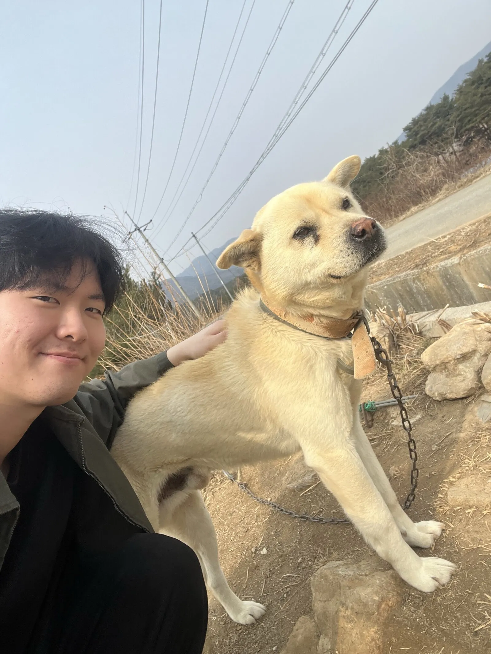 우리를 맞아주던 돼지